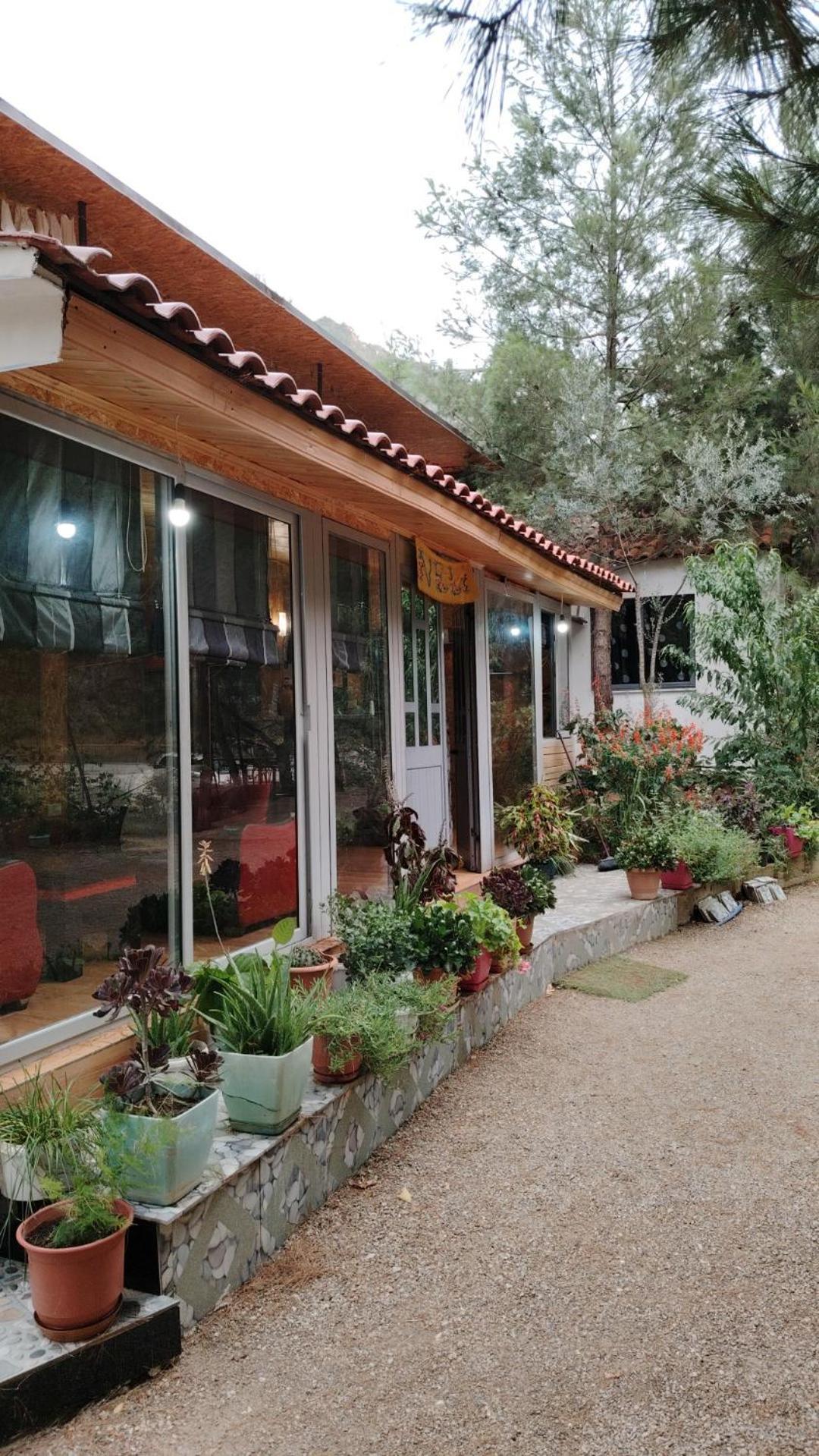 Bovilla Canyon Dajti Екстериор снимка
