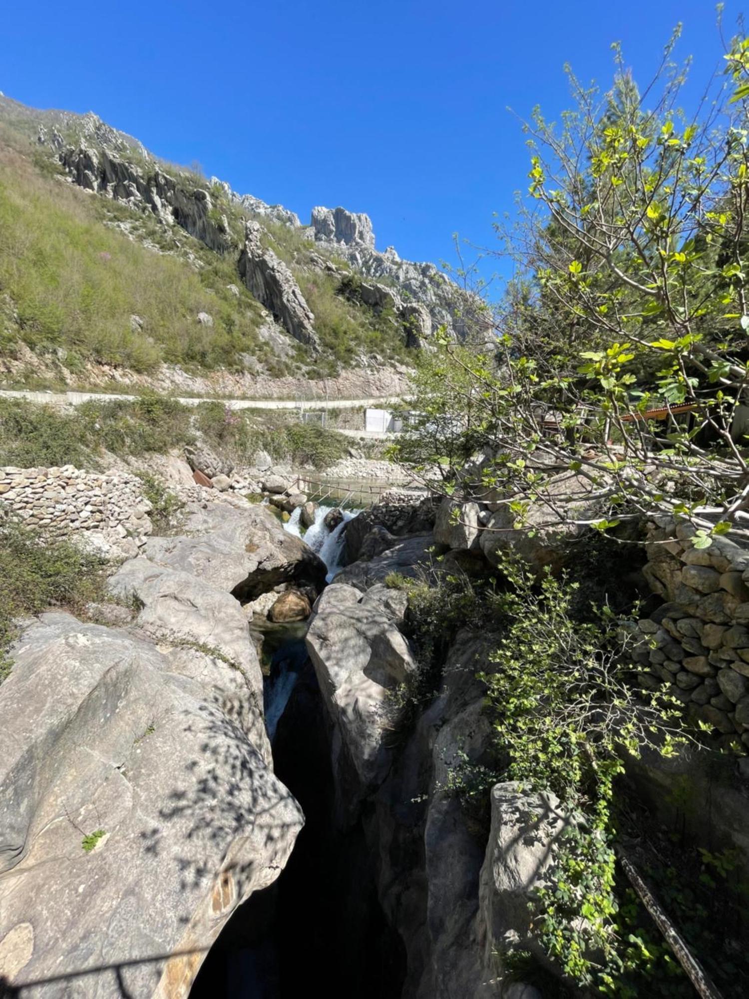 Bovilla Canyon Dajti Екстериор снимка